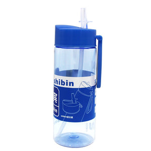 Waterbottle with Flip Straw